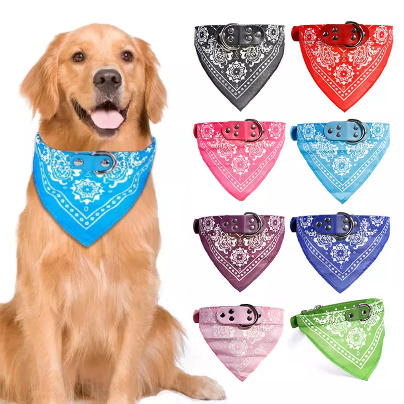 Pet collars with scarf