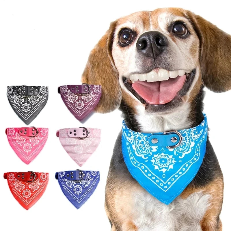 Pet collars with scarf