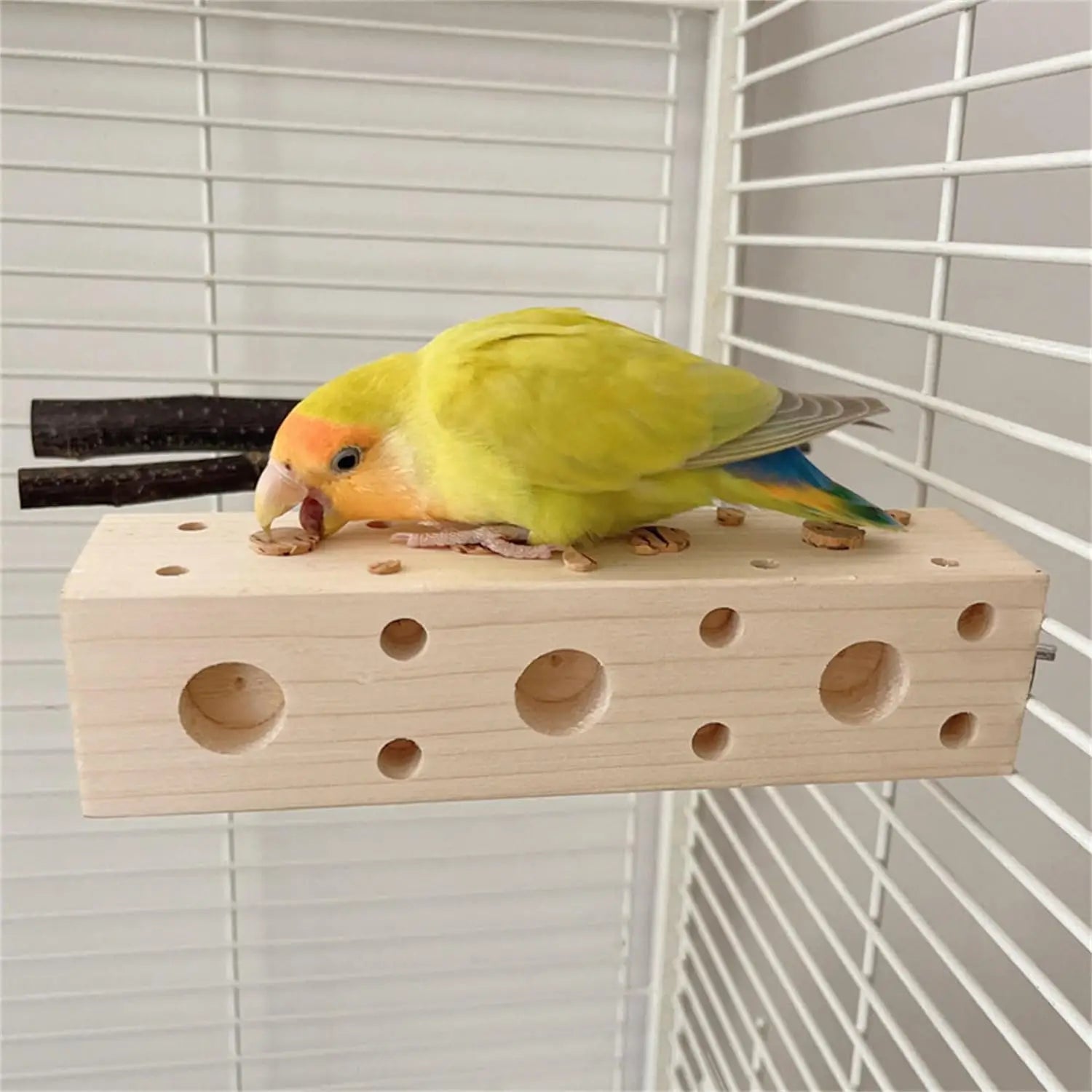 Large bird biting toy