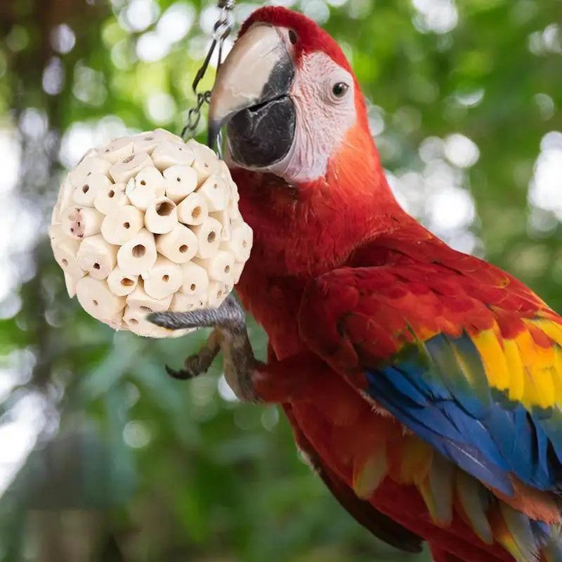 Parrot chewing toy ball