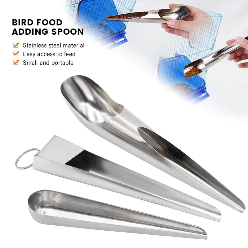 Bird parrot stainless steel spoon feeder