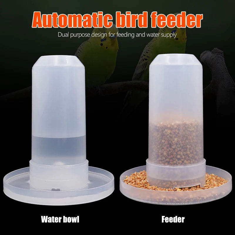 Bird quail drinking cup fountain plastic feeder