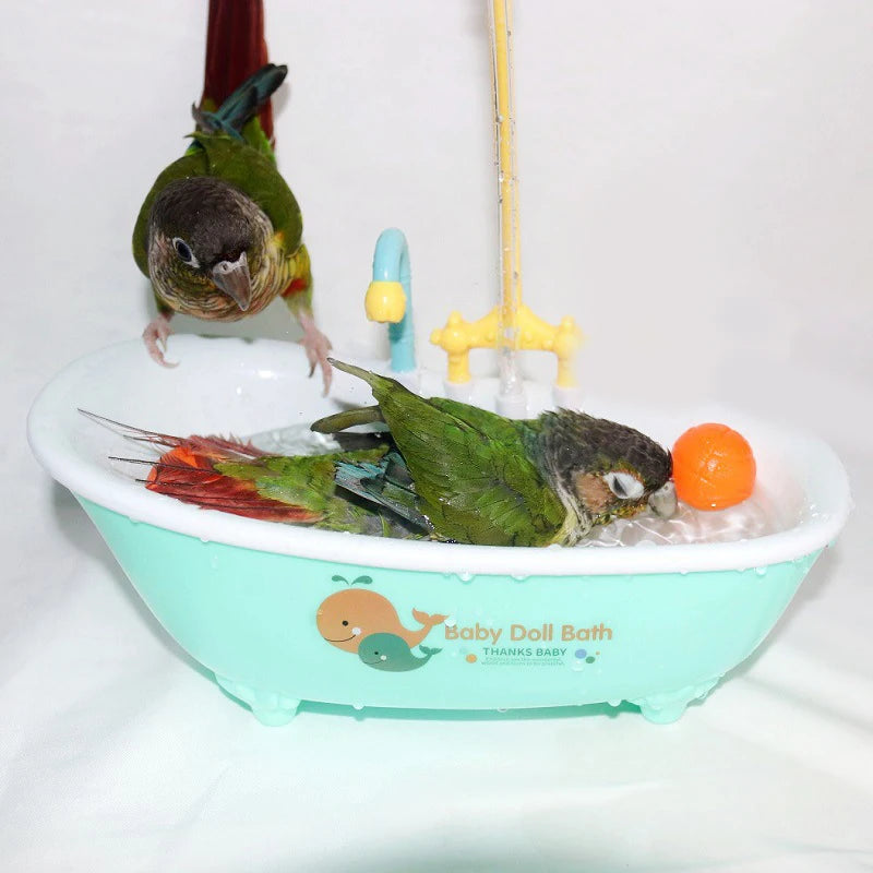 Bathtub bird