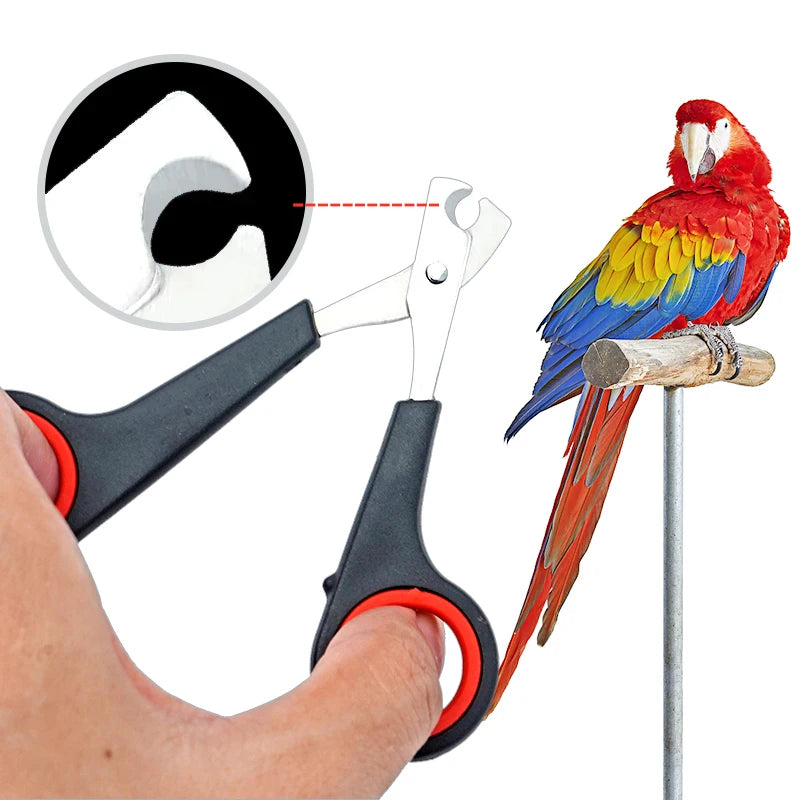 Bird nail scissors clipper
