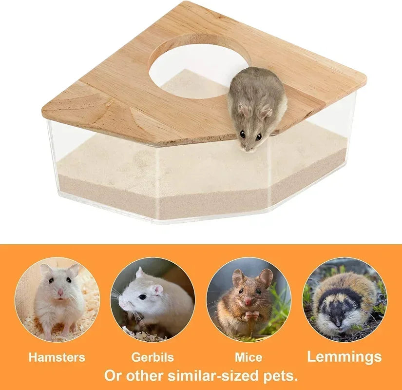 Hamster Sandbox