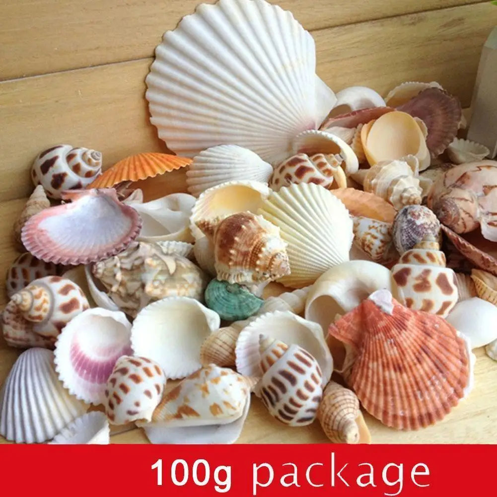 100g Natural and diverse shells