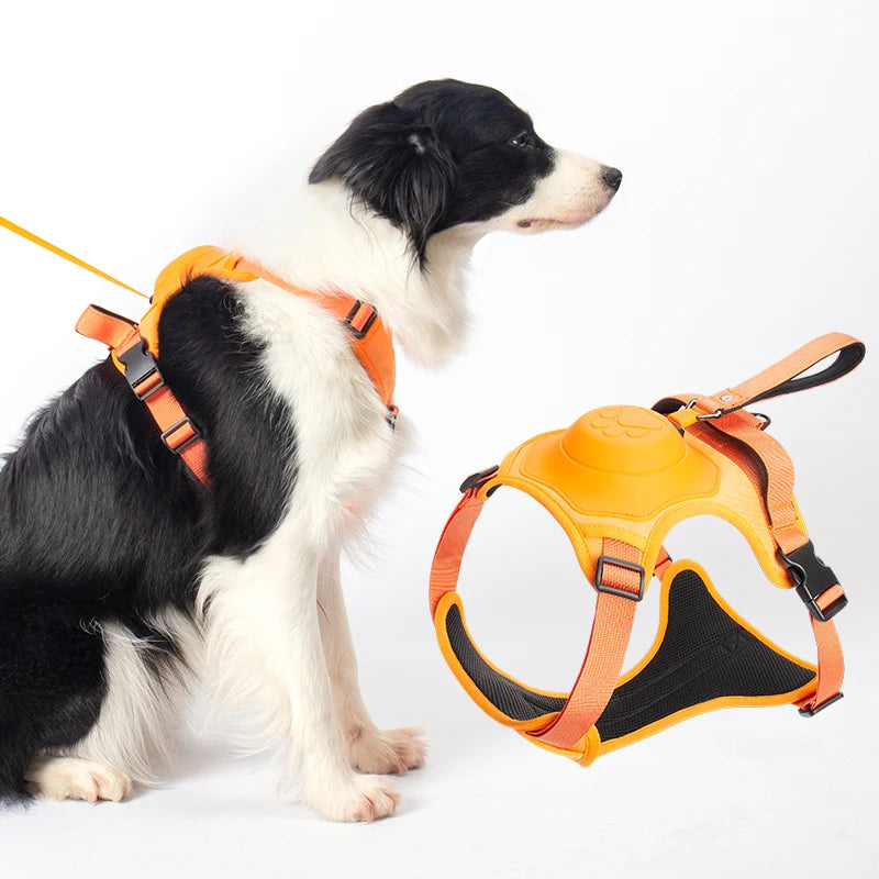 Dog Collar Harness for Medium Large Dogs