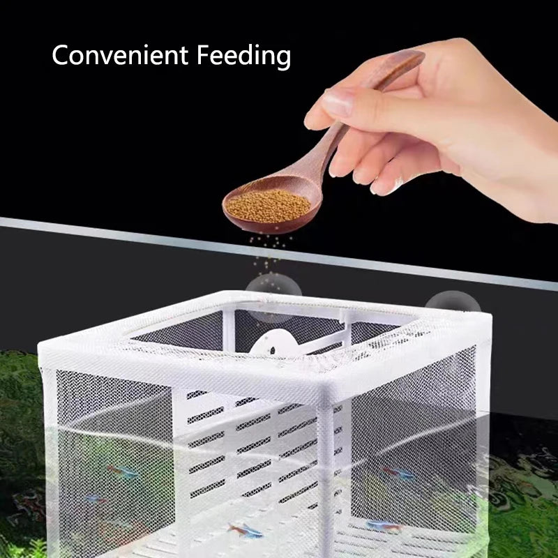 Aquarium fish breeding isolation box