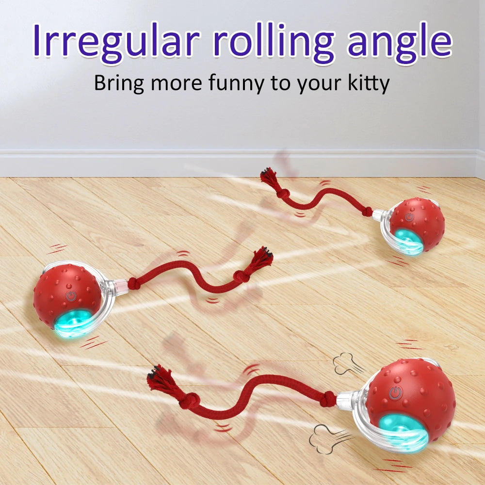 Cat rolling ball toy