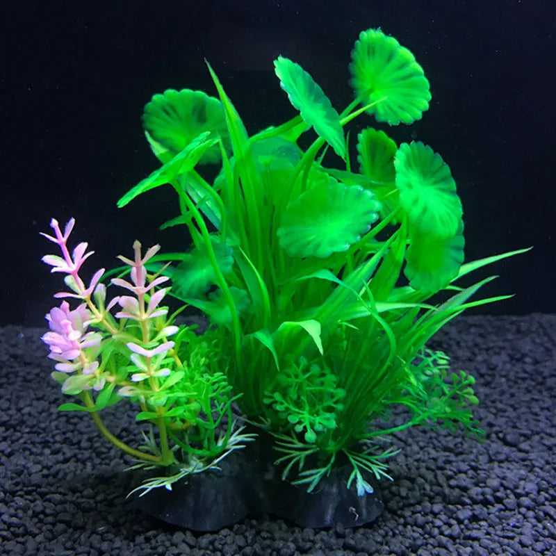 12 Kinds aquarium decoration plants