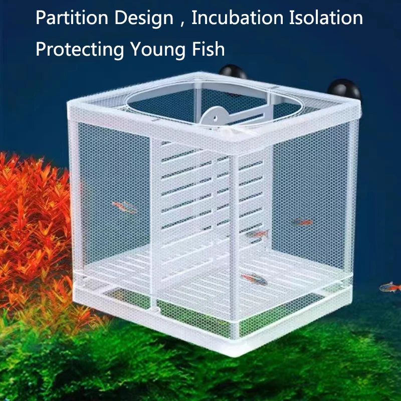 Aquarium fish breeding isolation box